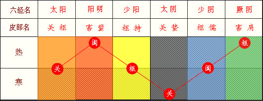 六經(jīng)皮部與關(guān)、闔、樞表