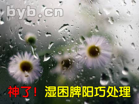 byb.cn 濕困脾陽(yáng)