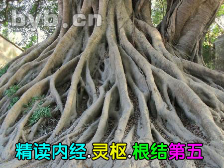 byb.cn 精讀內經(jīng).靈樞.根結第五