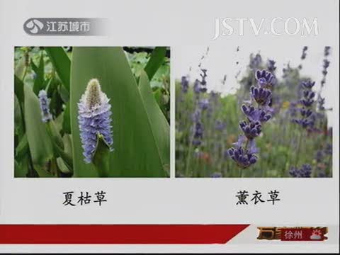 byb.cn byb.cn